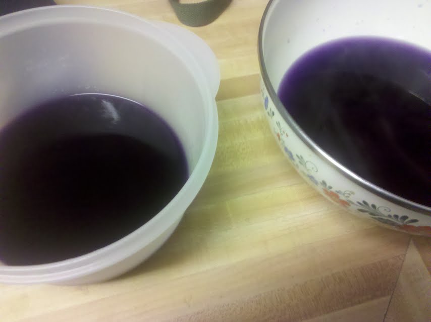 Breaking Taboo Red Cabbage Gender Test