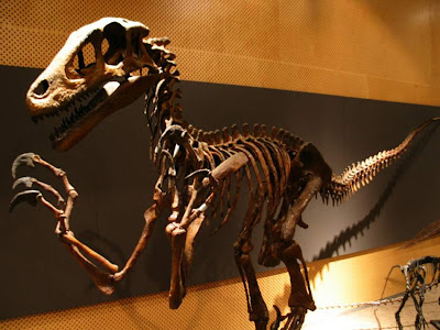 dinosaurs of the land sea and air
