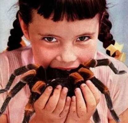 [yummy_spider.jpg]