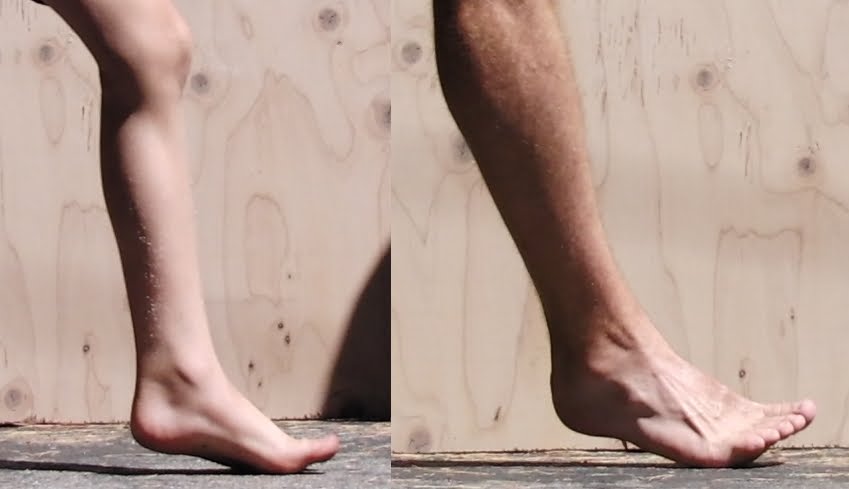 Barefoot Running Vs Shoes Lieberman Scholar Barefoot Running Vs Shoes Lieberman Scholar