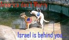 Decades- long relationship between Israel and the USA.
