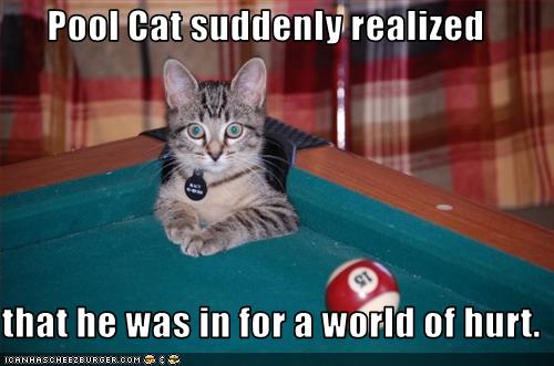 [poolcatsuddenl128599674546544738.jpg]