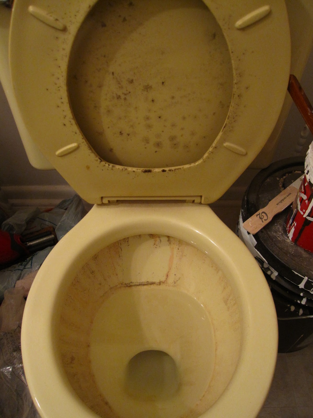 Enter The Crawlspace The Bathroom is Disgusting