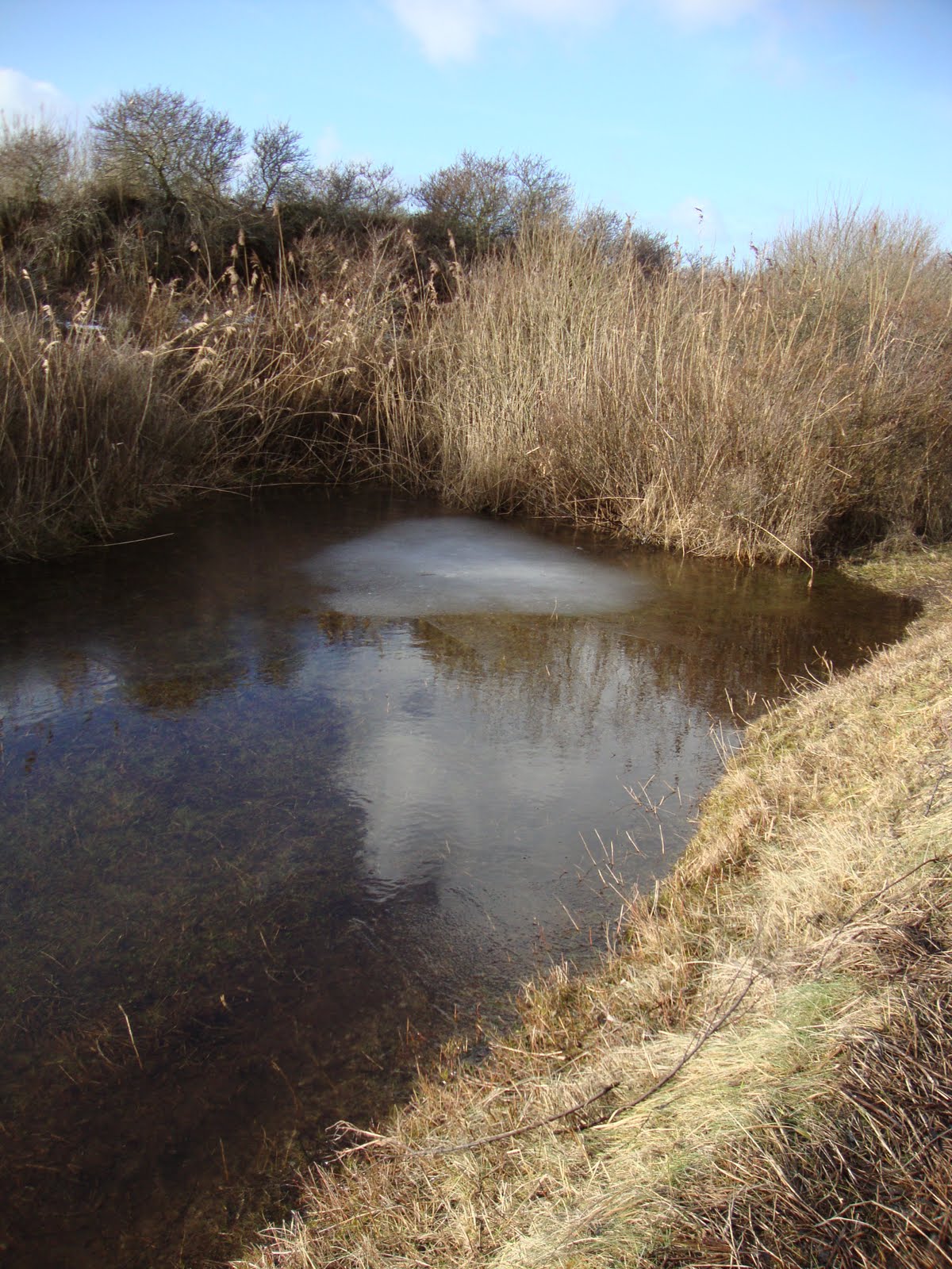 [Texel+-2-2010+020.JPG]