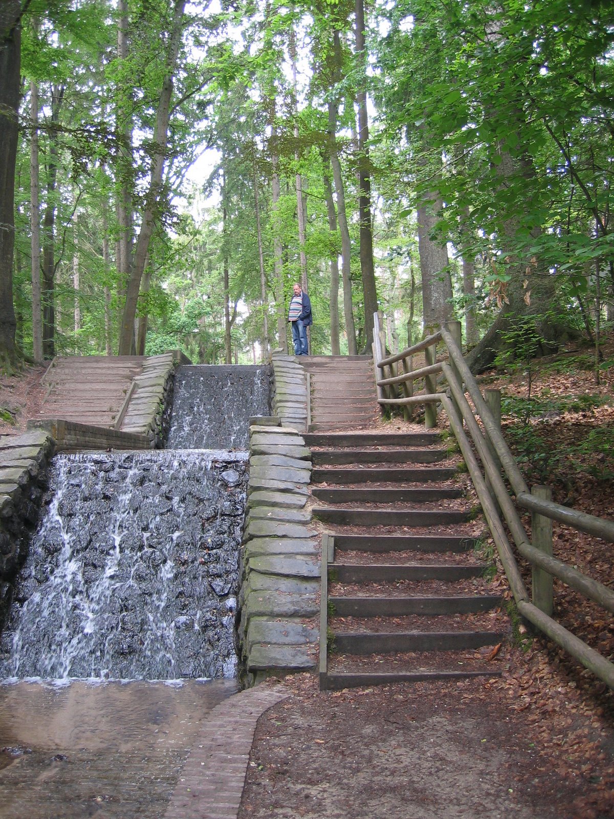 [IMG_3892.JPG]