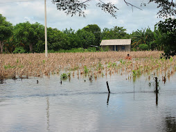 INUNDACIONES