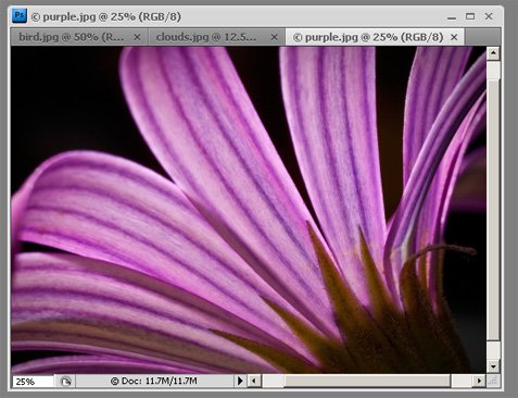 Free PhotoshopTutorials