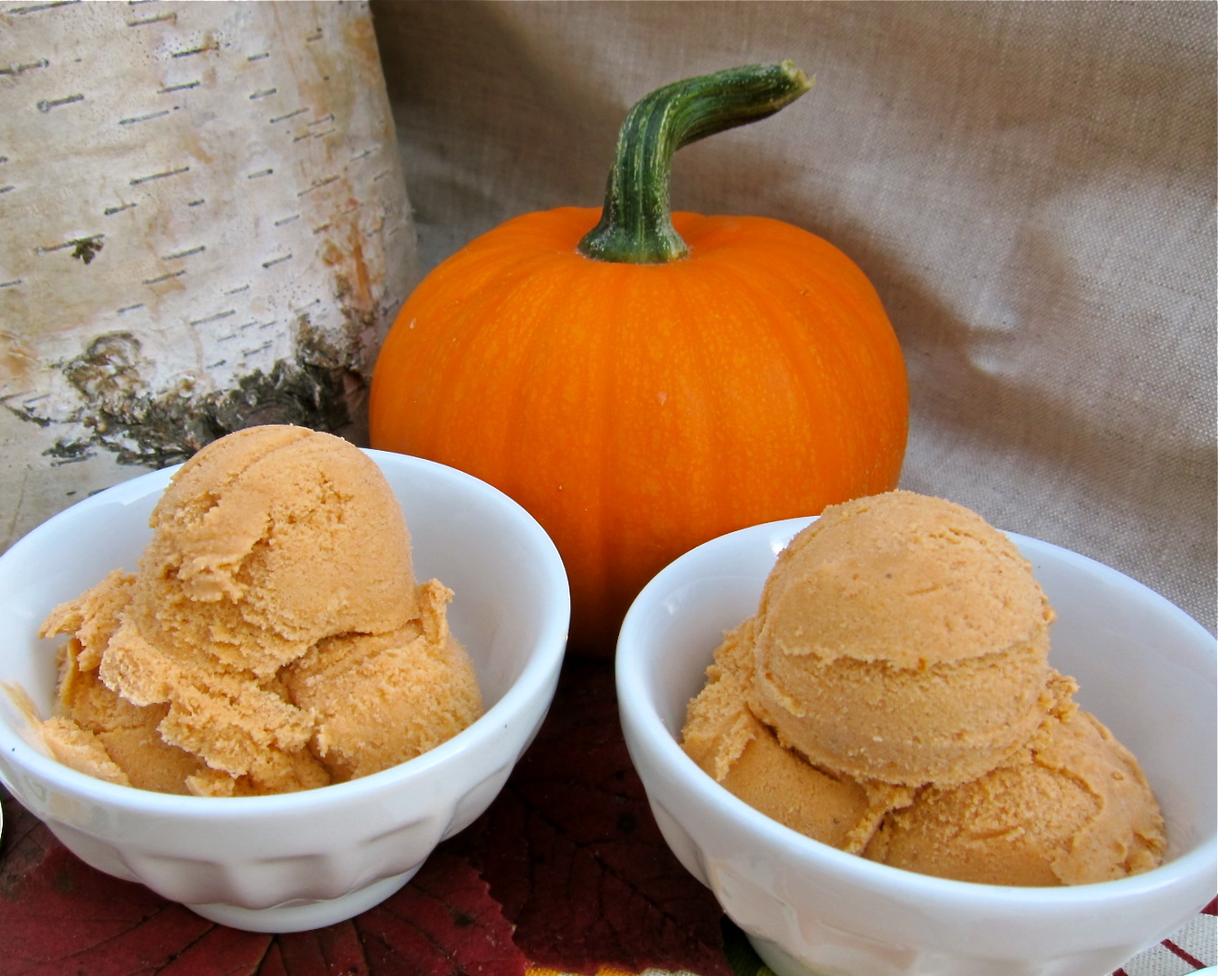 Arctic Garden Studio Pumpkin Pie Ice Cream