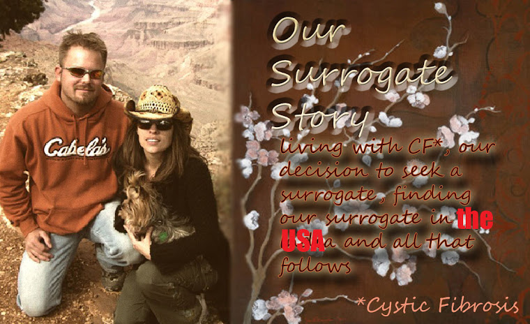 Our Surrogate Story