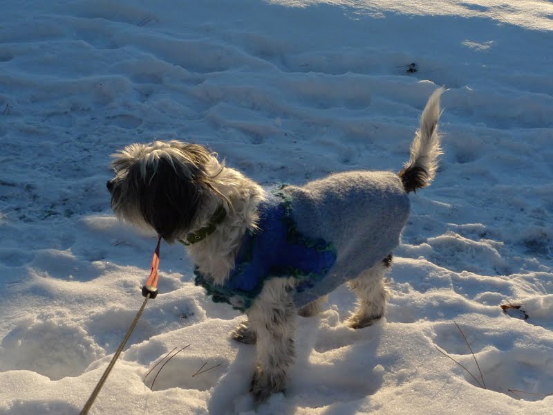 Radar Is Going To Be A Calendar Boy radar-is-going-to-be-a-calendar-boy