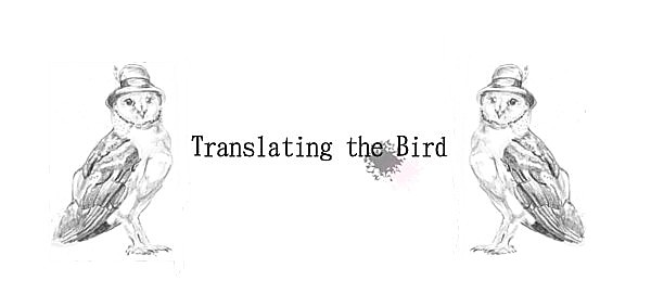 Translating the Bird