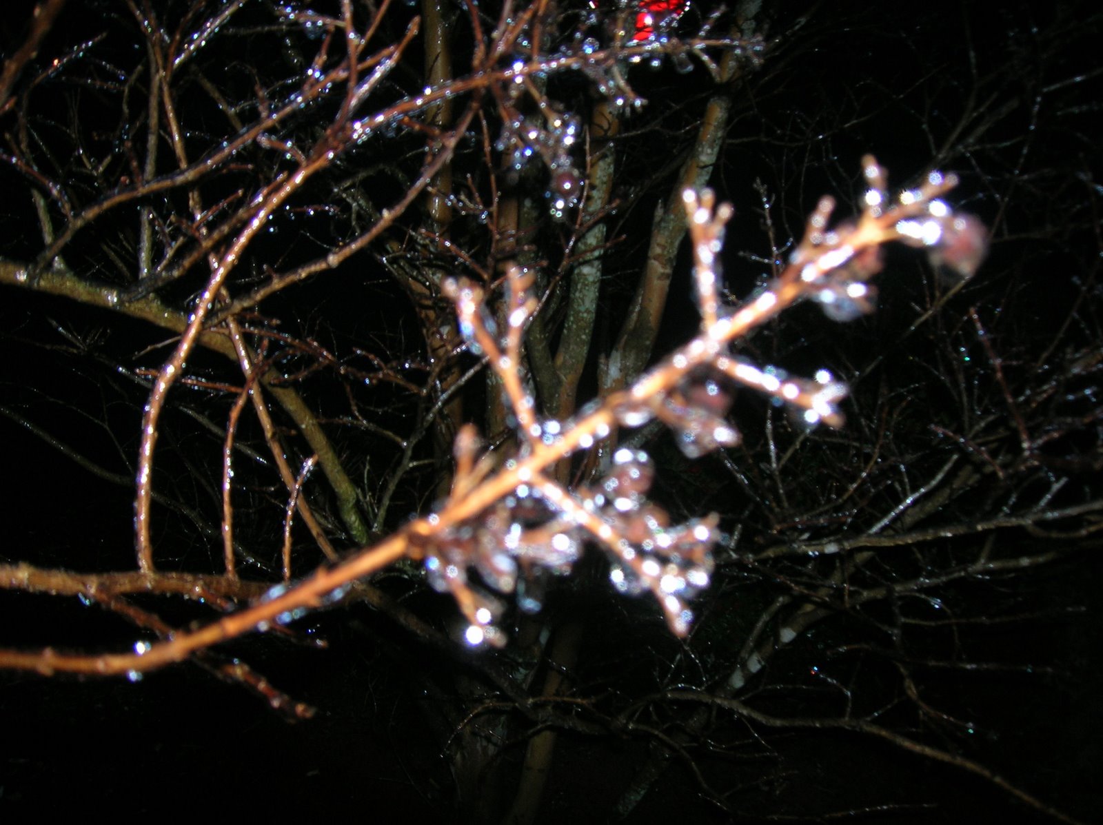 [DSCN2722.JPG]