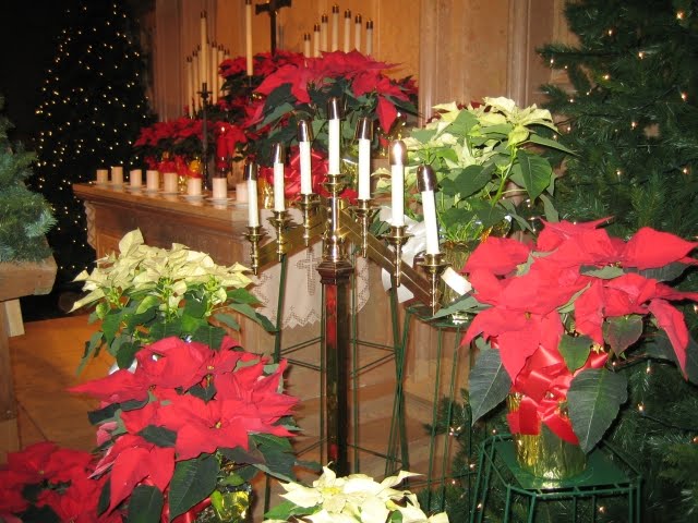 [Christmas+Candles+Flowers+2007.jpg]