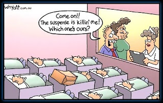 Motherhood for Dummies: Funny New Born