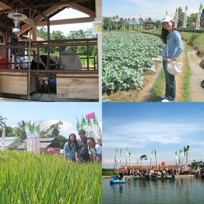 [124039208909+21+29.jpg]