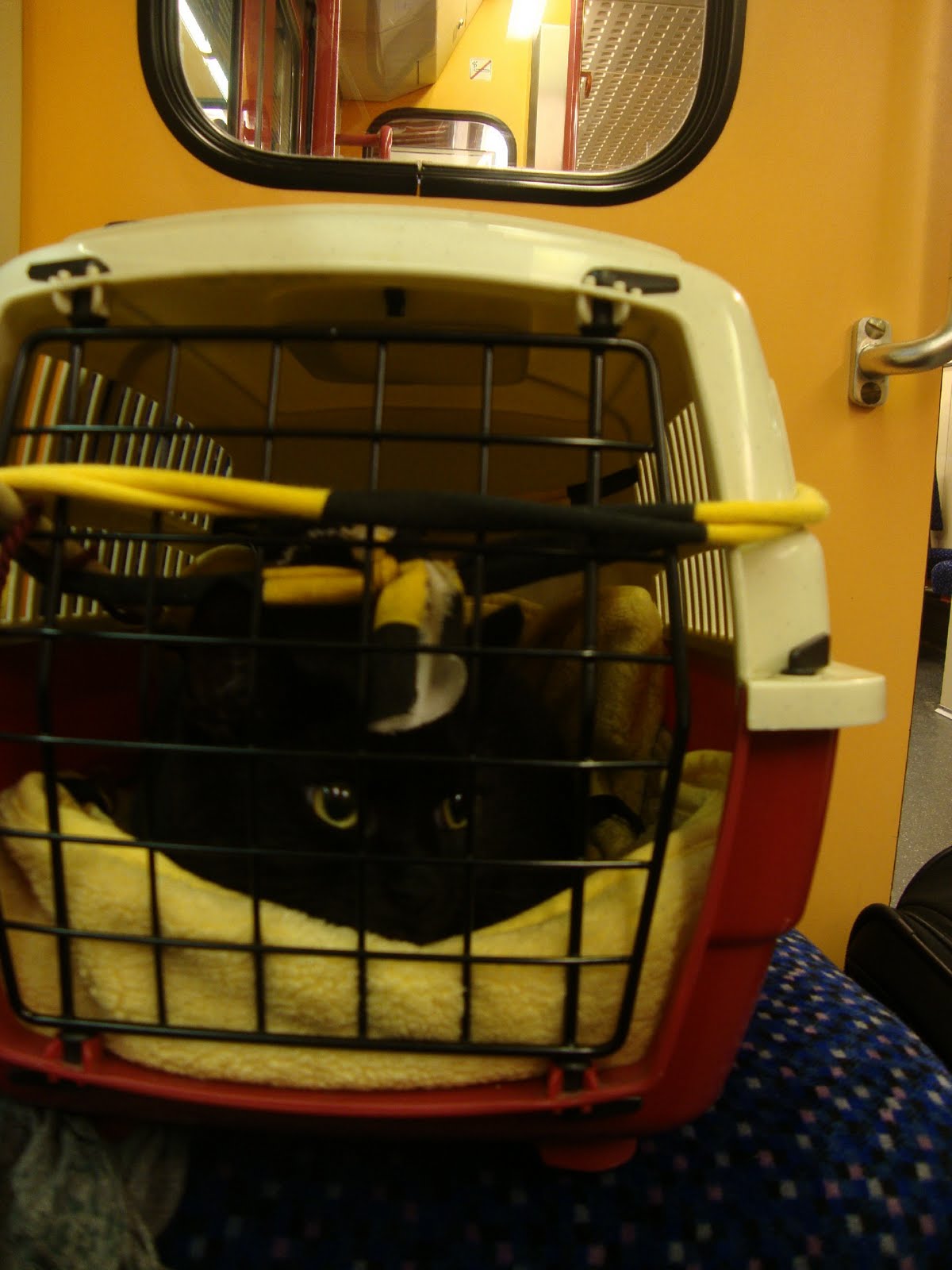 Gold auf Lapislazuli: Montag, 23.Aug. - Donnerstag,26.Aug. Längengrad16