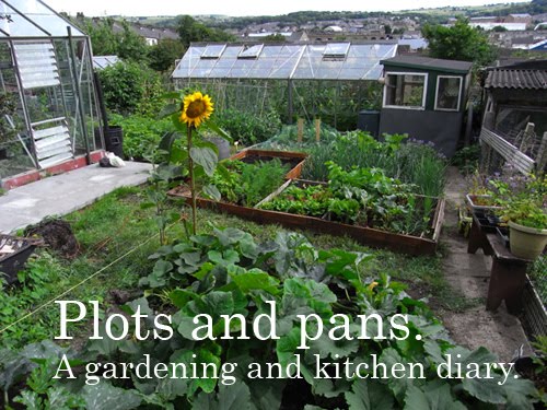 Plots and Pans. A gardening and kitchen diary.