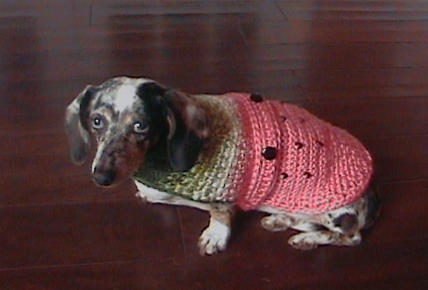 Bernat: Pattern Detail - Super Value - Dog Coat (crochet)