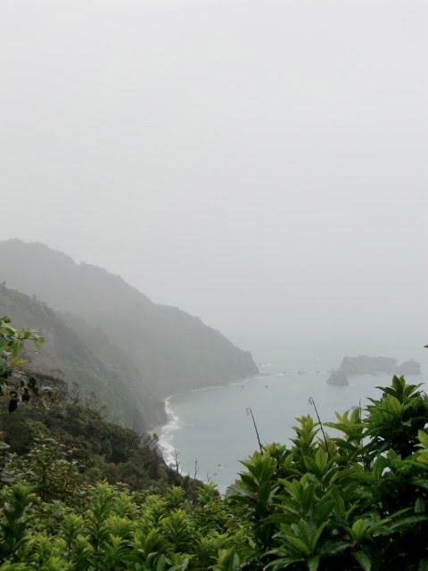First View of the Tasman Sea