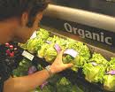 Utube What Food To Eat To Makem U Healthy Utube What Food To Eat To Makem U Healthy