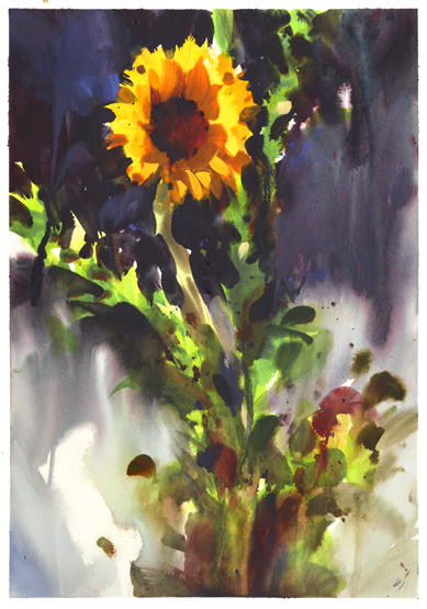 [sunflower2-lo.jpg]