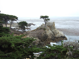 Sur la route 101