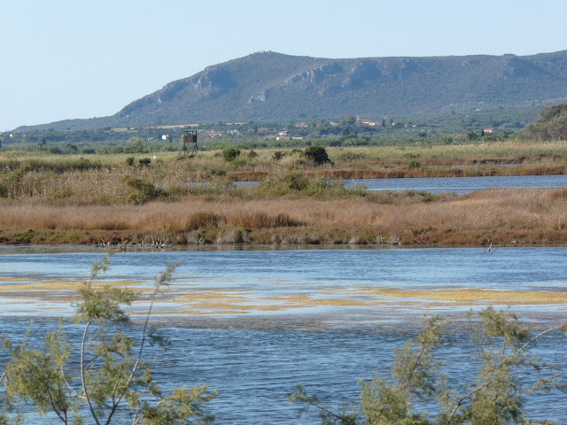 Wild And Wonderful November 2010