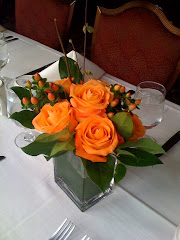 Event on the Arogosy