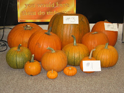 OUR PUMPKIN PATCH!