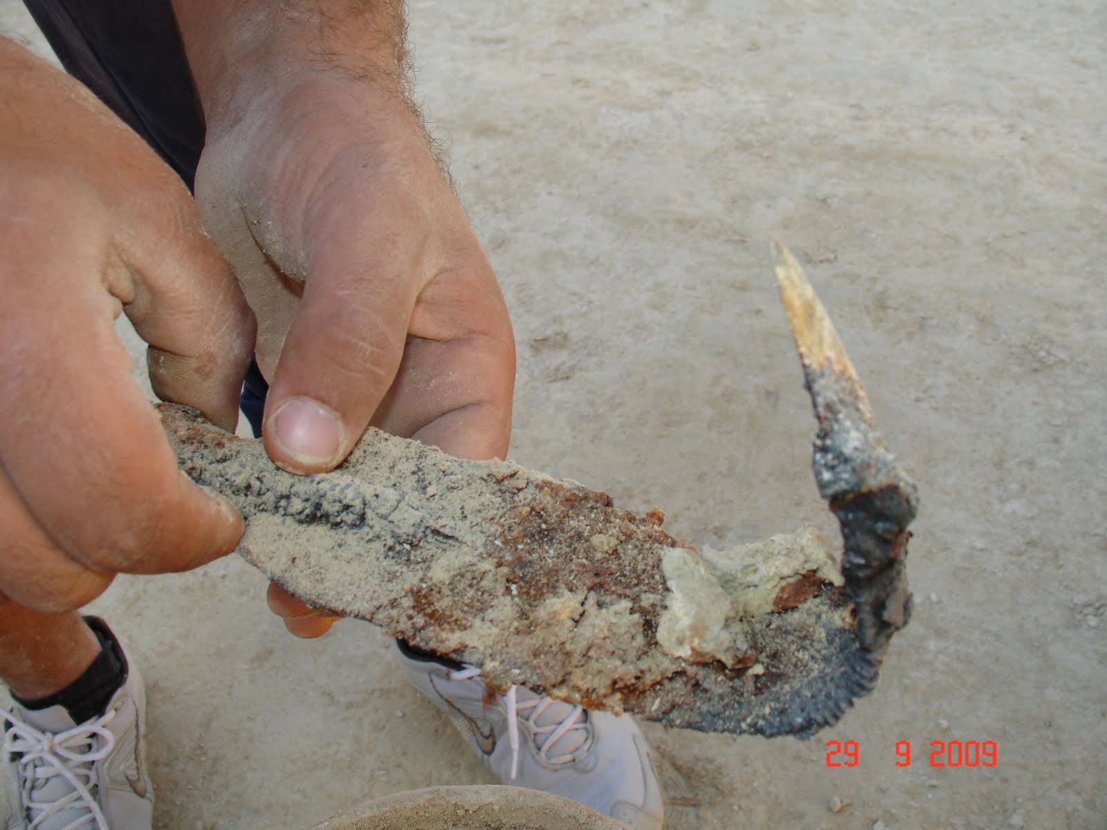 [DSC07914.JPG]