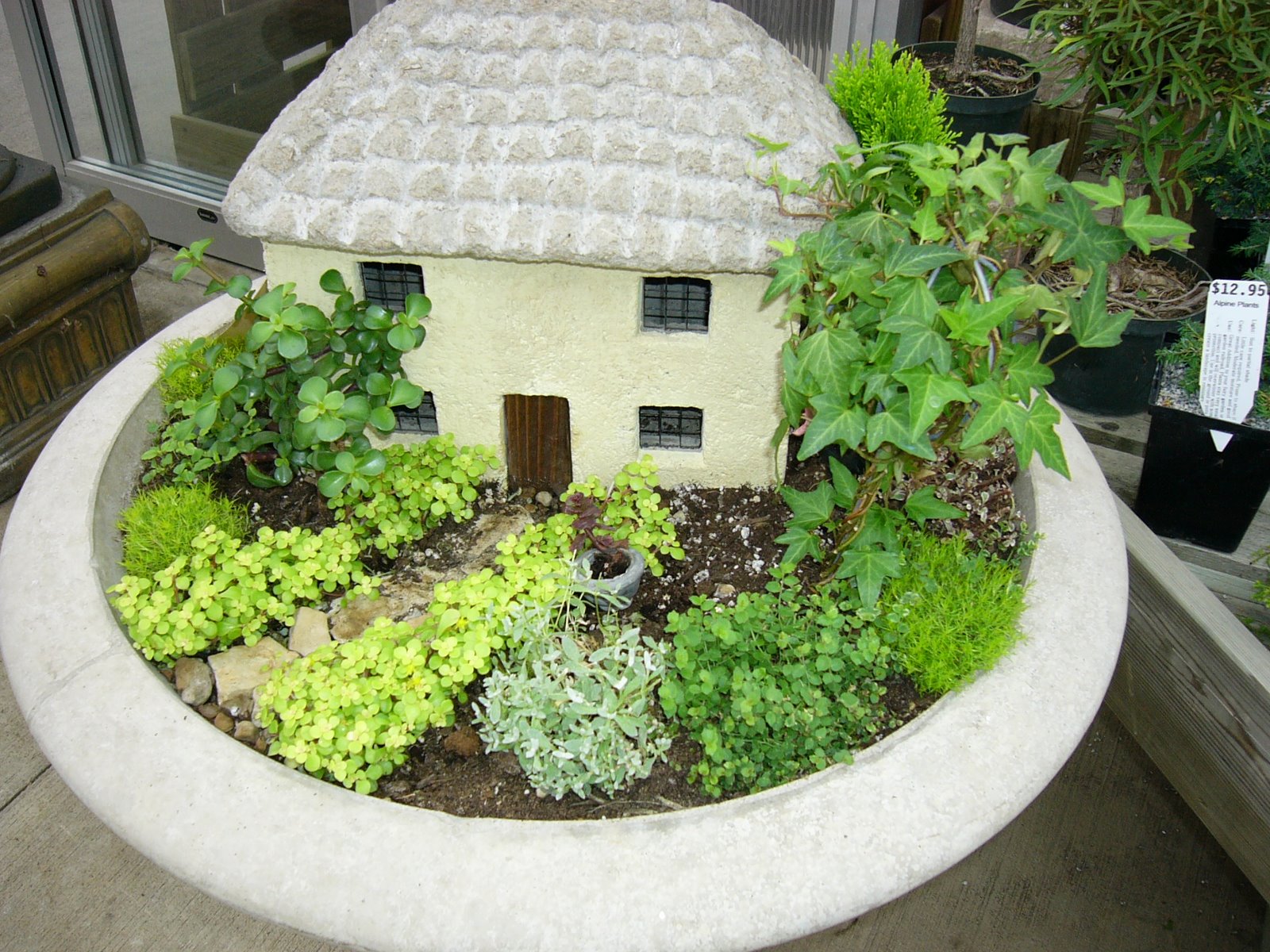 paradis express Hester and Zipperer Lawn & Garden