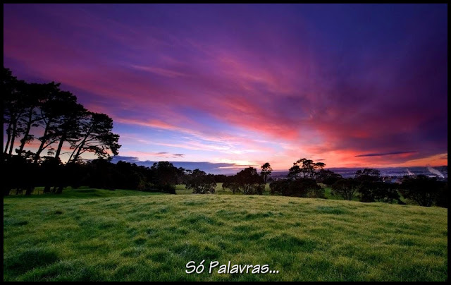 Resultado de imagem para imagens de horizontes