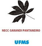 NECC-SARANDI PANTANEIRO
