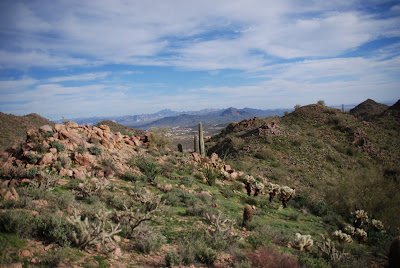 Discover Arizona: McDowell Mountains