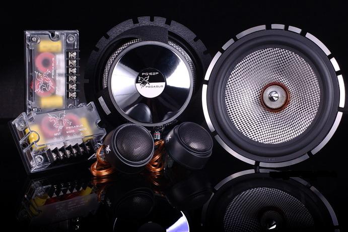 PEGASUS PG162P component speaker new