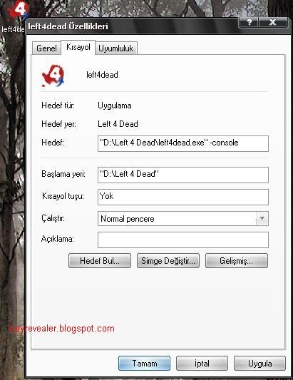 biraz bilgi left 4 dead multiplayer agdan oynamak