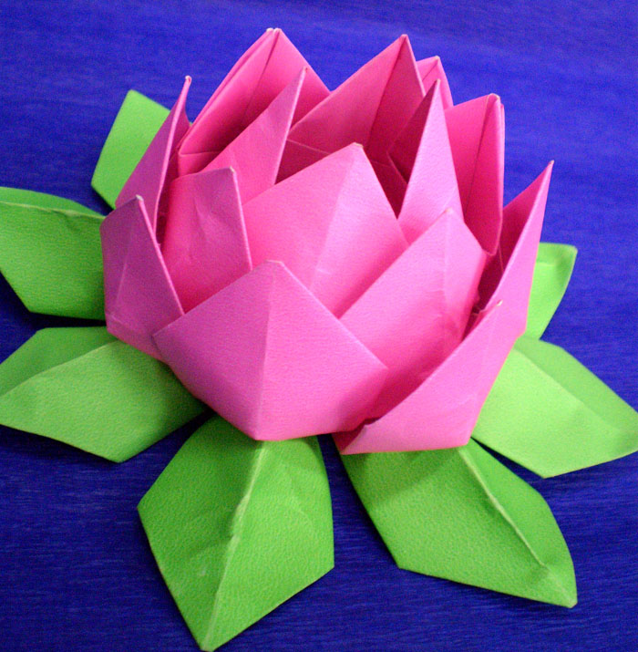 [lemb+lotus+04.jpg]