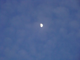 The moon
