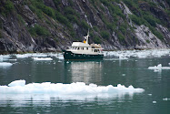 Antipodes in Alaska, Summer 2008