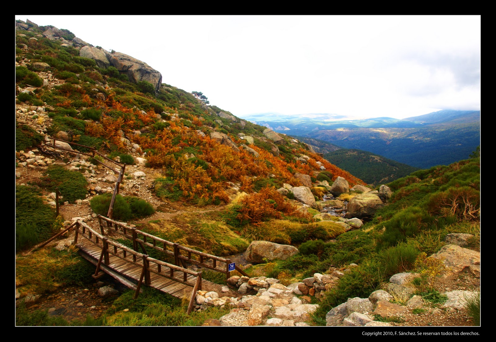 Francisco J. Sanchez A.: Parque Natural de Peñalara, España