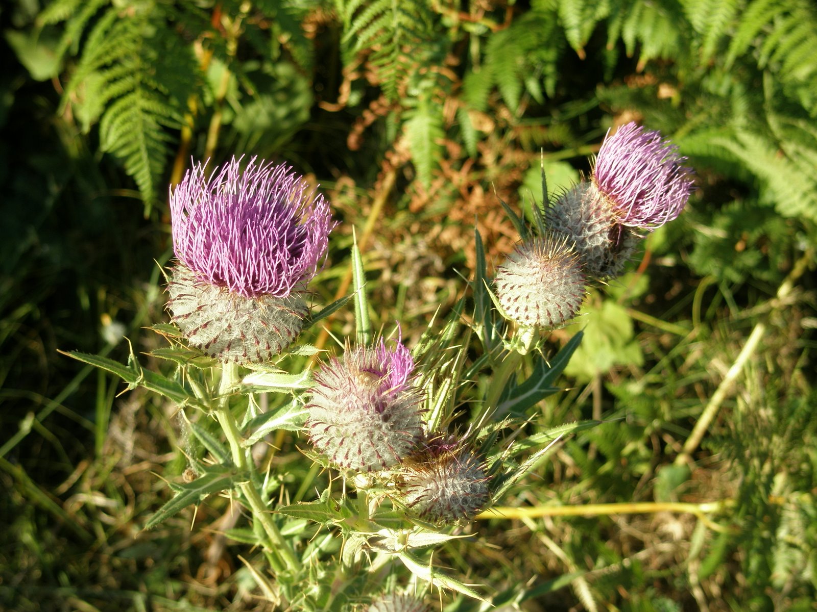[P8210085.JPG]