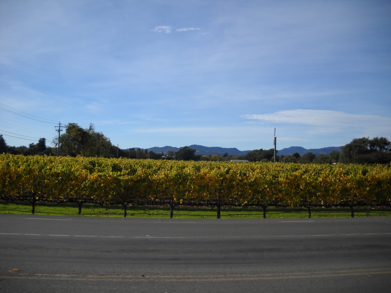 Napa Valley San Francisco