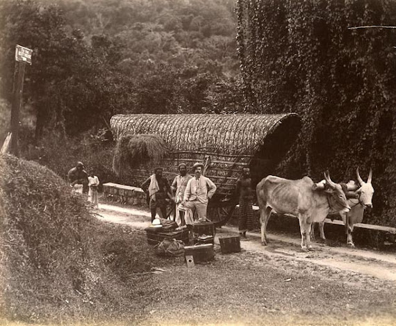 Journey to up Country