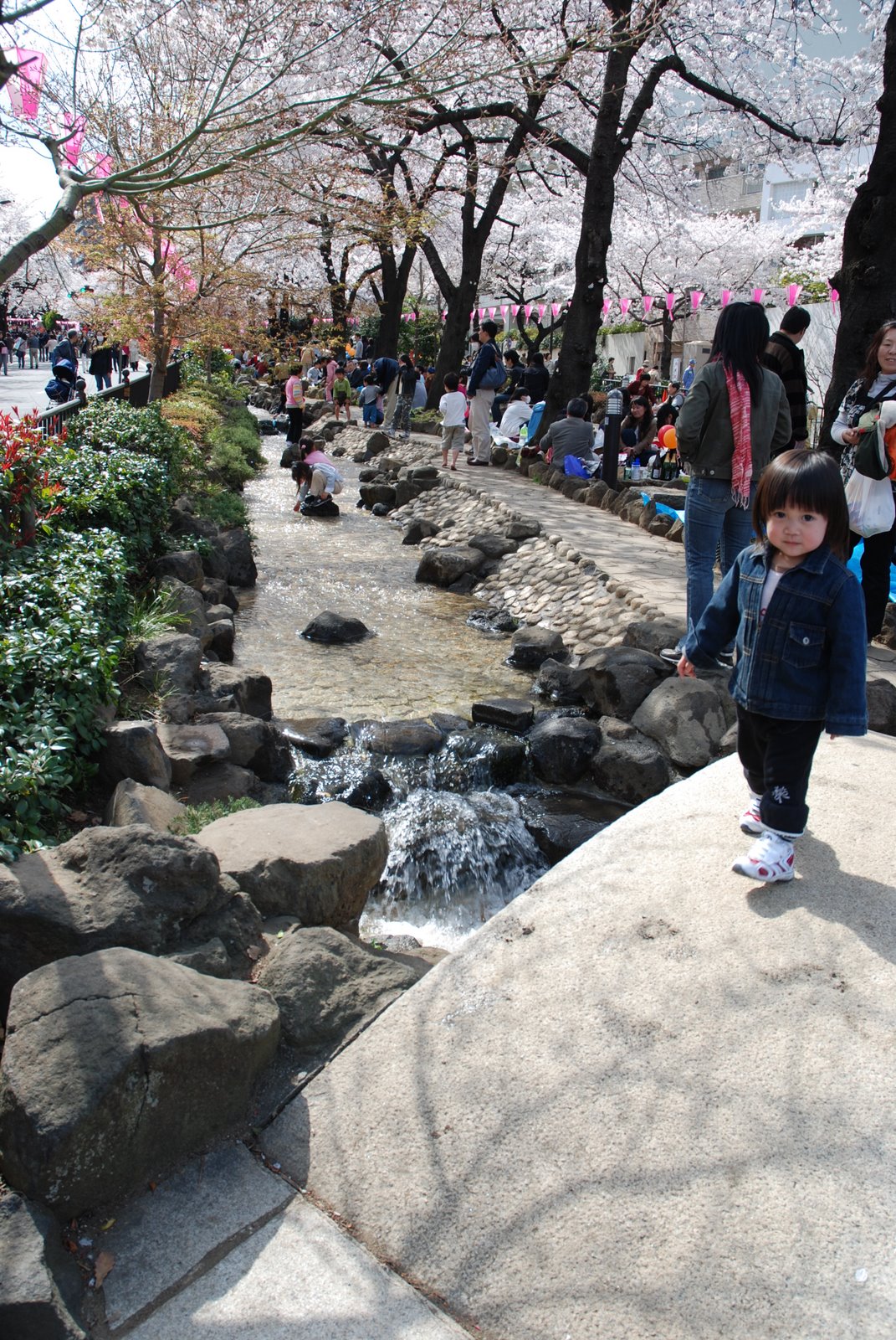 [DSC_0201.JPG]