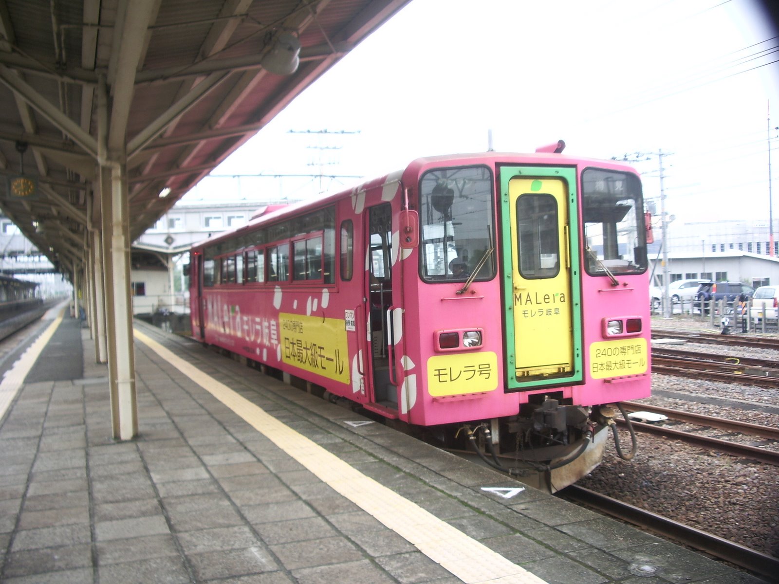 [IMGP3117.JPG]