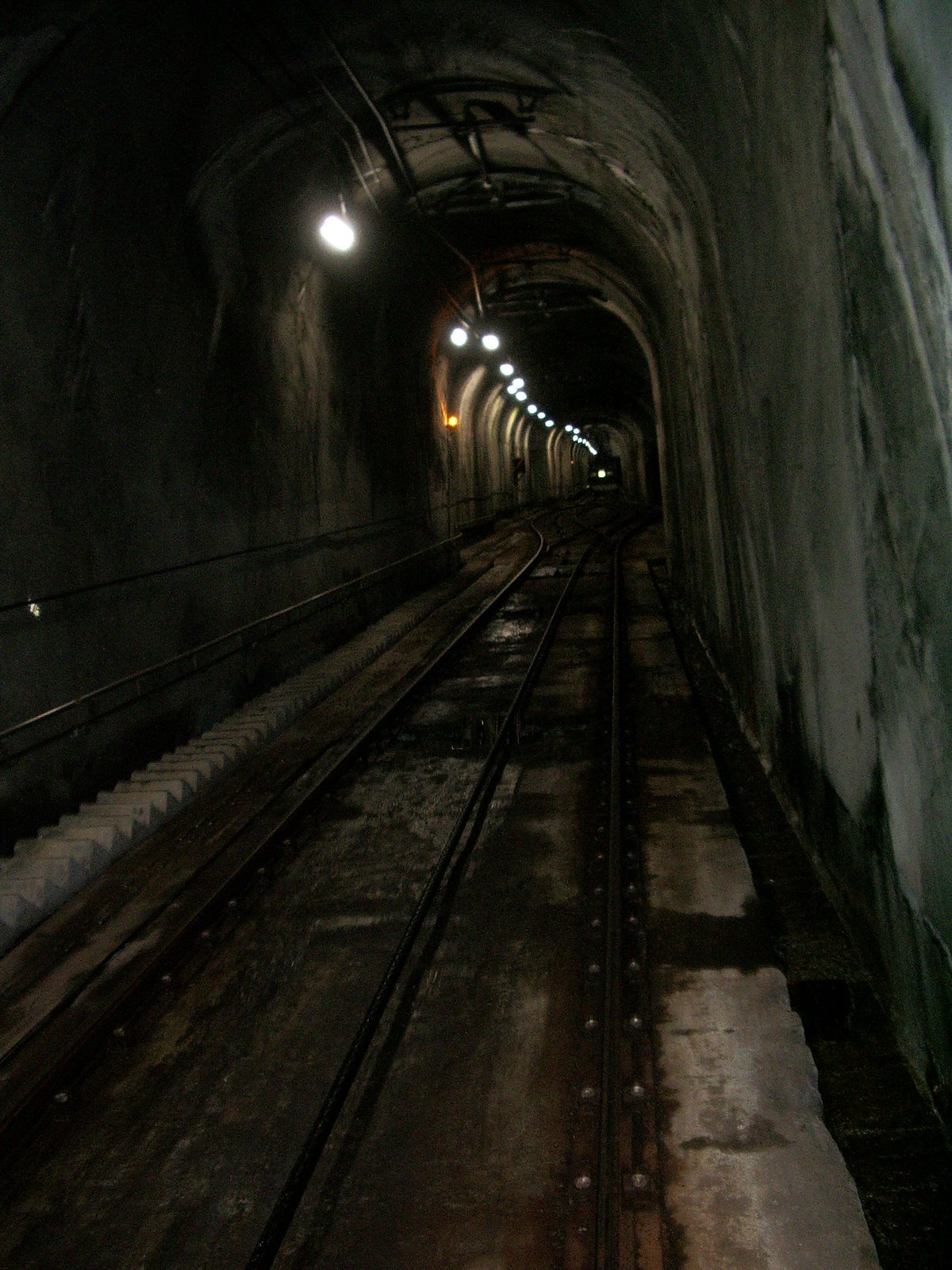 [IMGP3310.JPG]