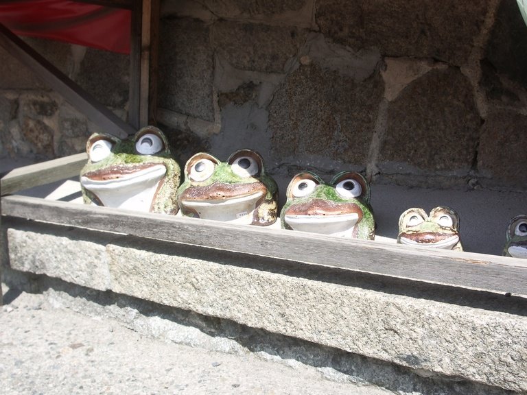 [02-frogs.jpg]