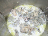 DSCN4338.JPG