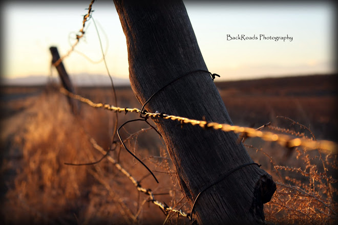 BackRoads Photography