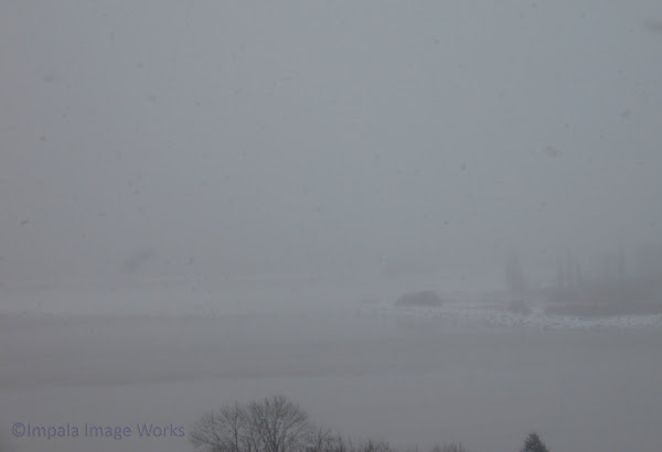 Lake Erie: January 3, 2010 - 1:30 PM